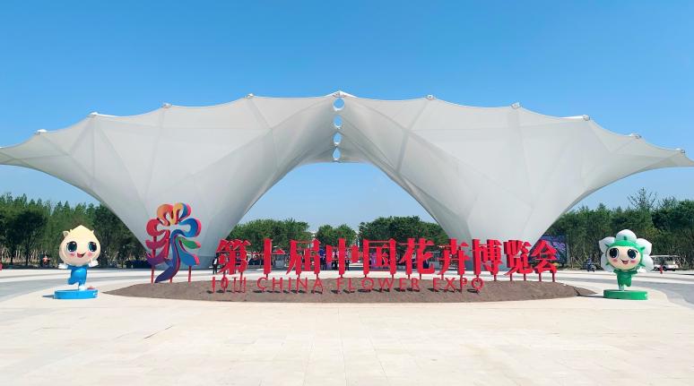 �����й��� ��ս��������������ͨ | win��Ӯ���ʹٷ���վ��������win��Ӯ���ʹٷ���վ��ͨ��˾������ʮ���й�����չ����